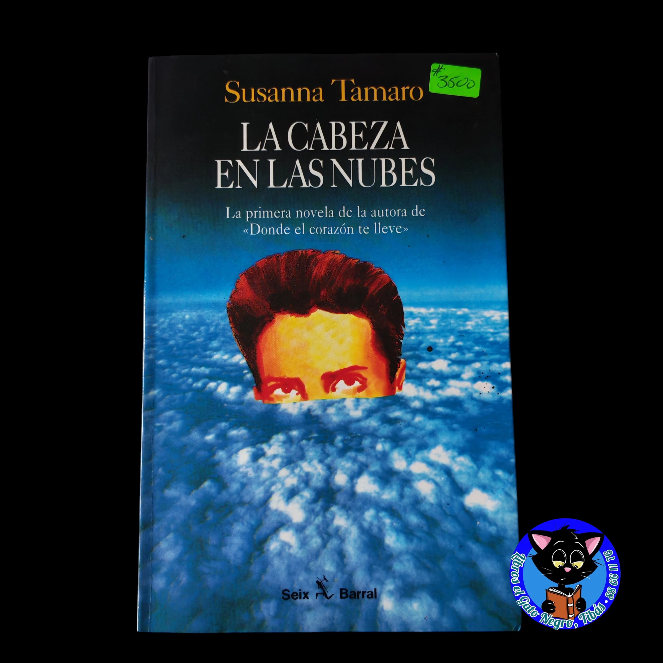 La Cabeza en las nubes Susanna Tamaro usado 