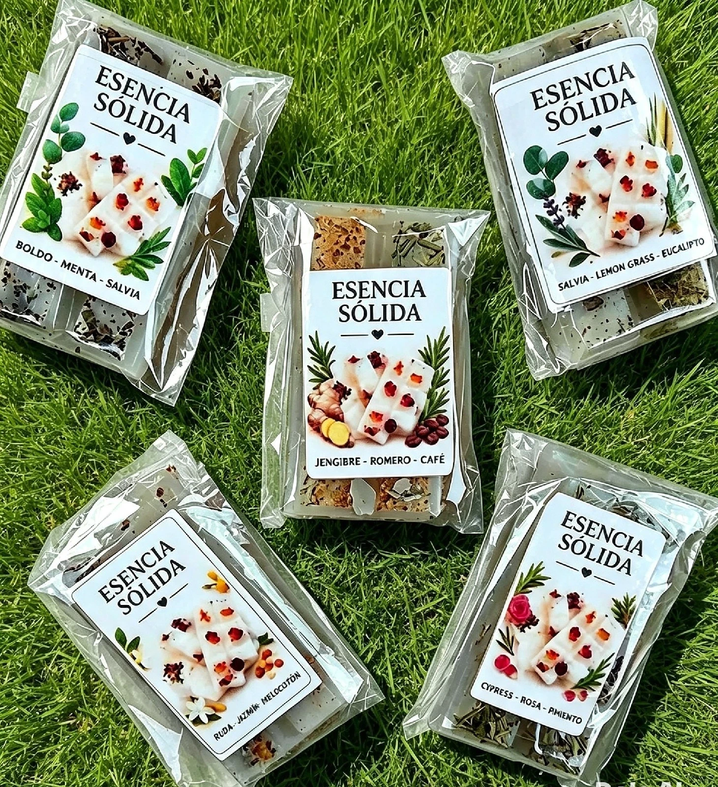 Esencia Sólida 