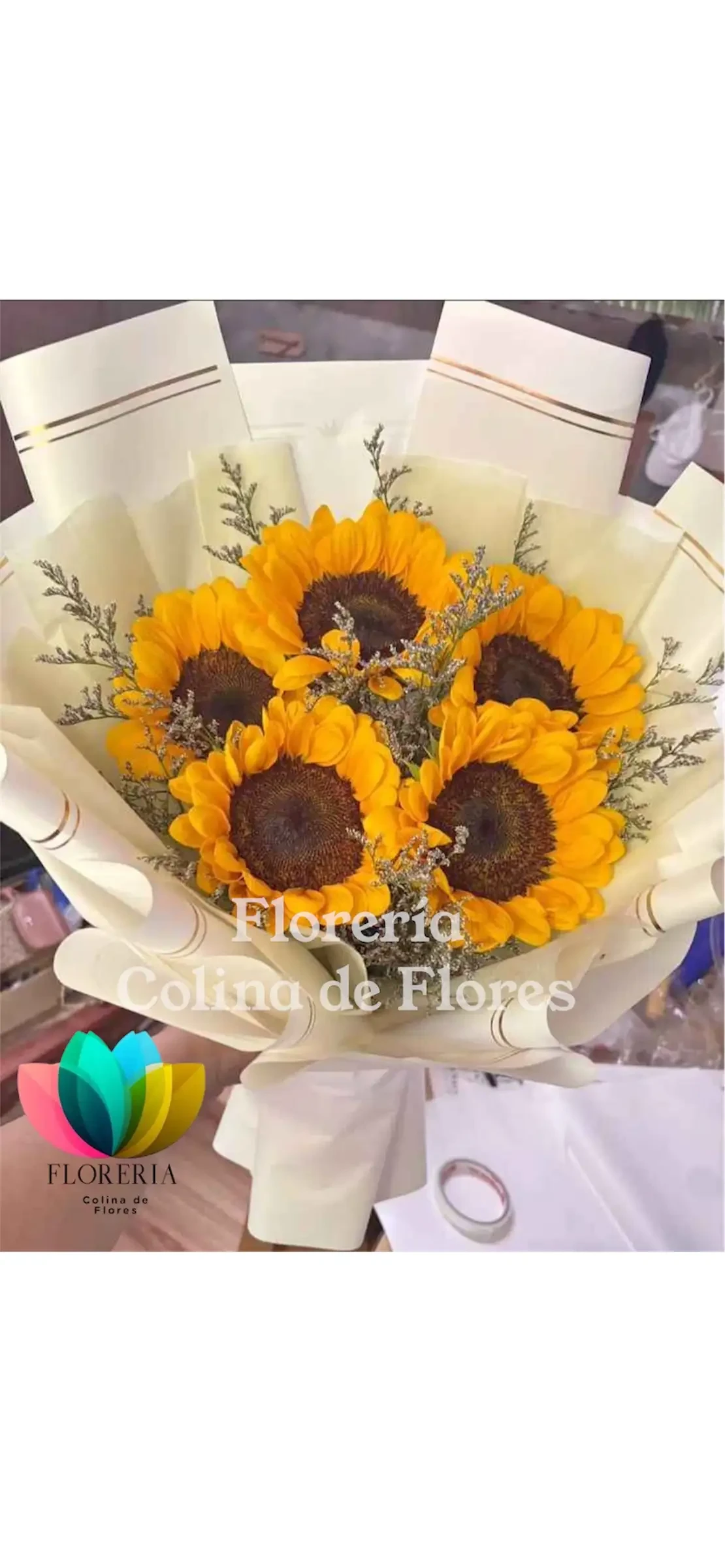 Girasol