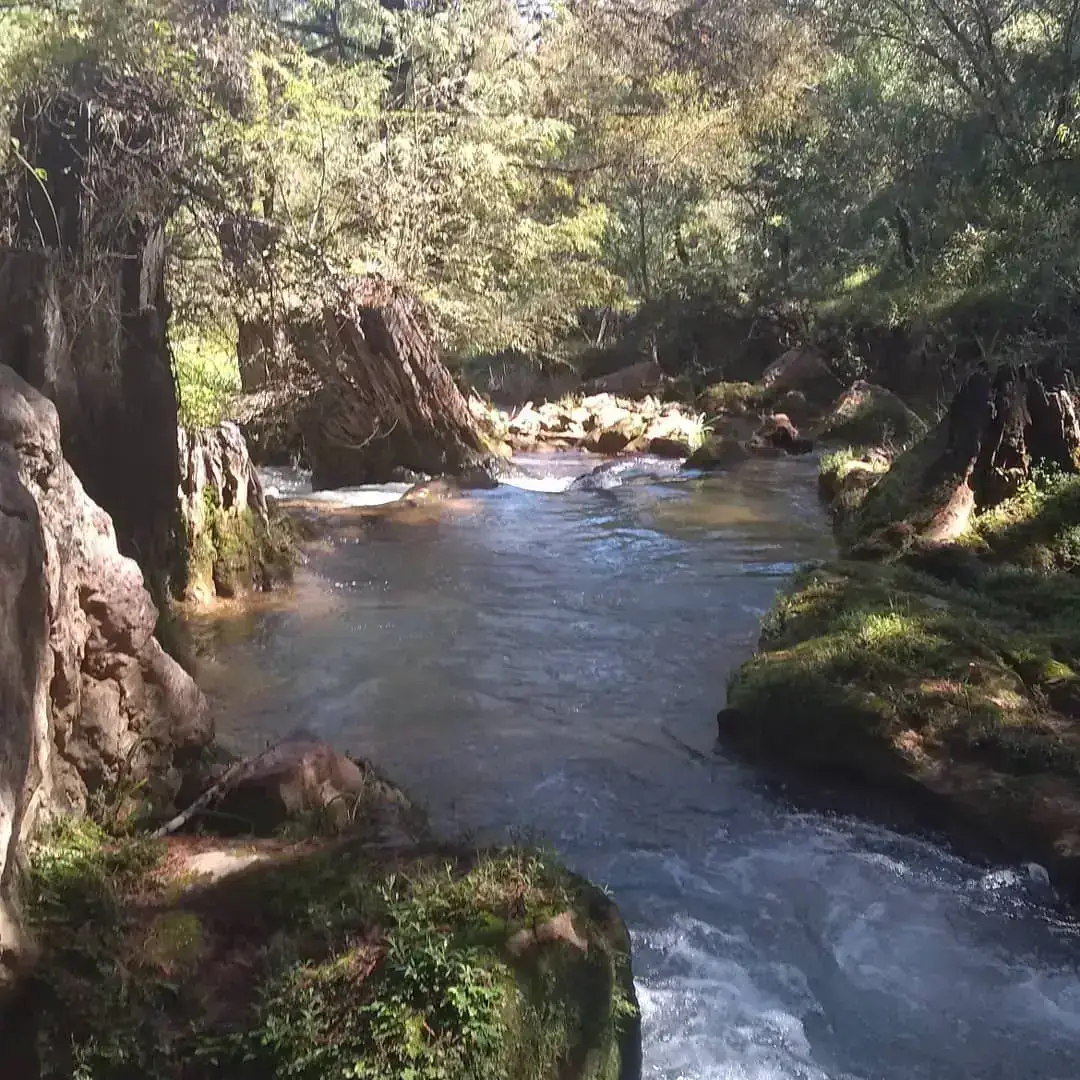 GRUTAS DE SAN SEBASTIÁN  2