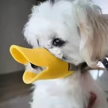 TM BOZAL PATO 4