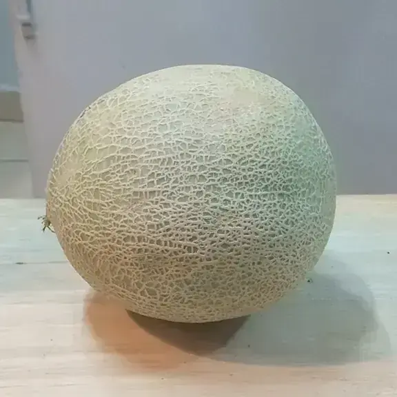 Melon 