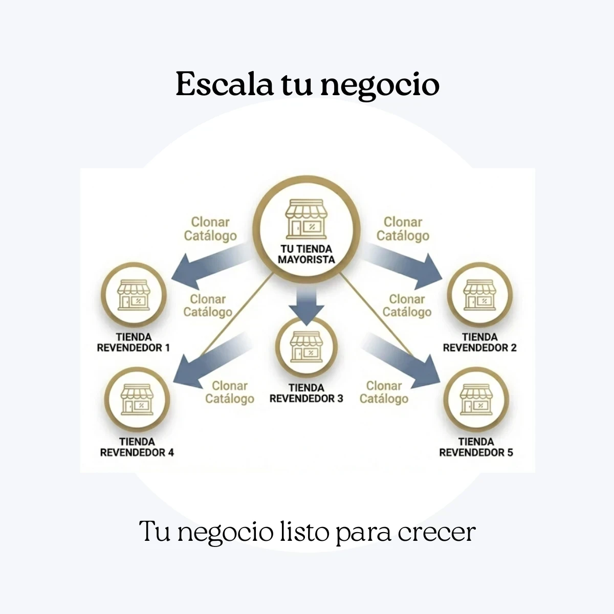 SISTEMA DE VENTAS AVANZADO 10