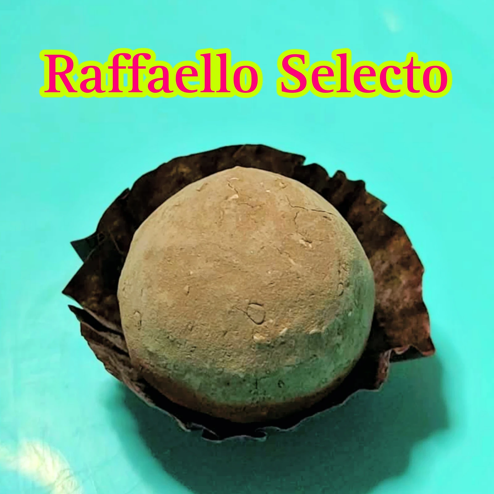 Raffaello Selecto
