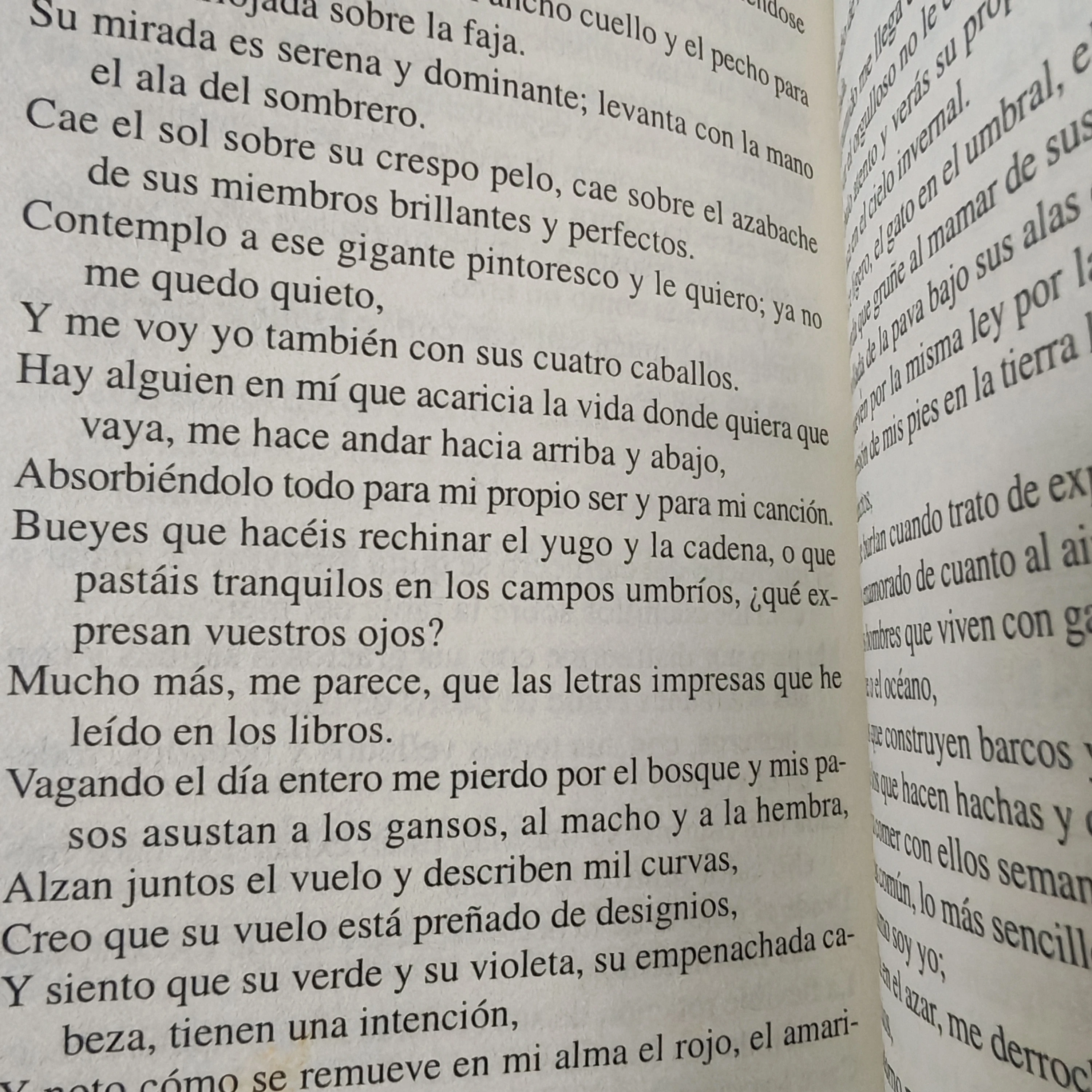 Canto a mi mismo, Walt Whitman usado  4