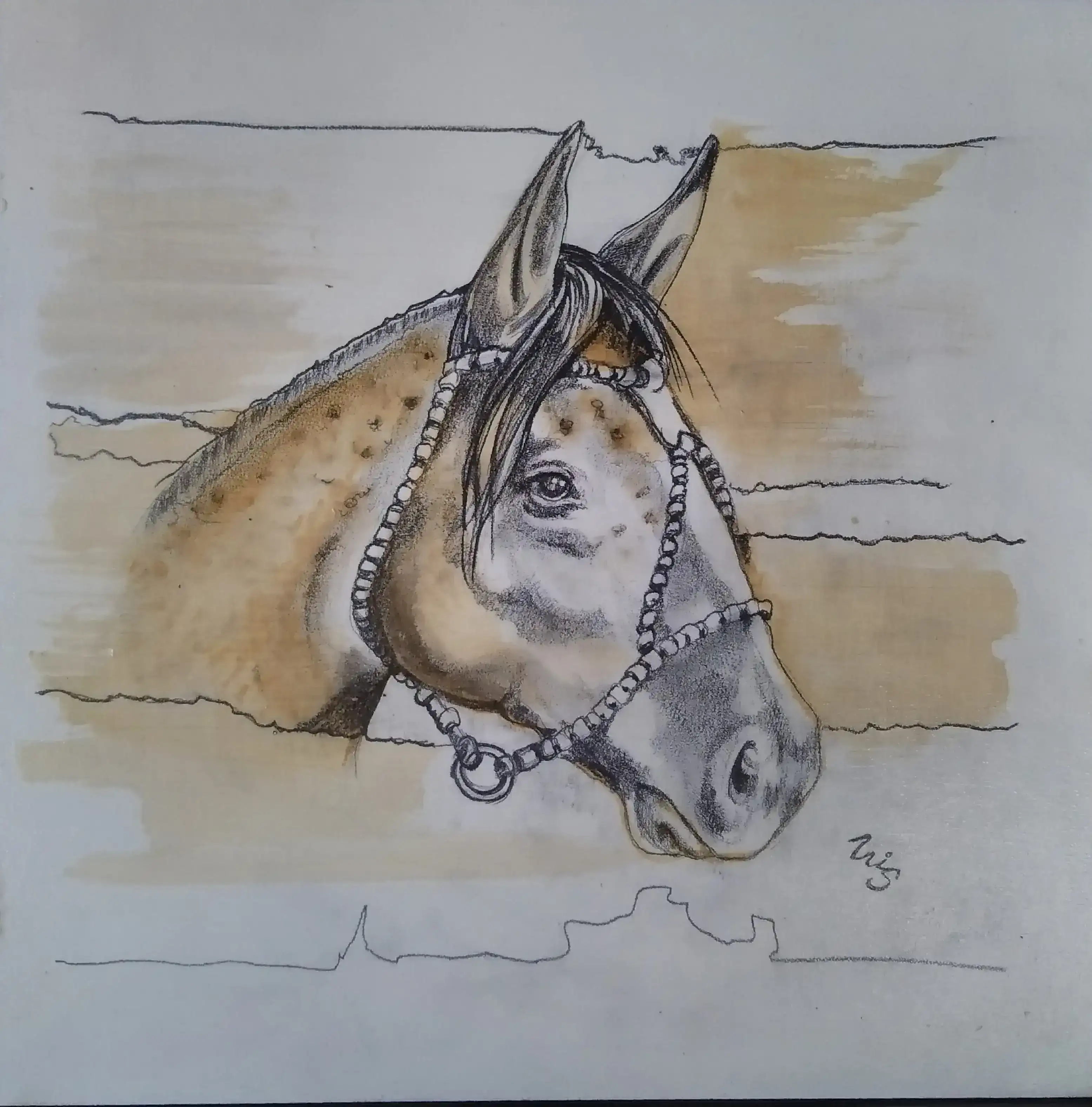Caballo#4