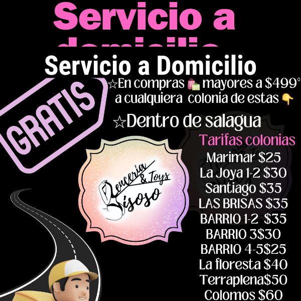Servicio a Domicilio 