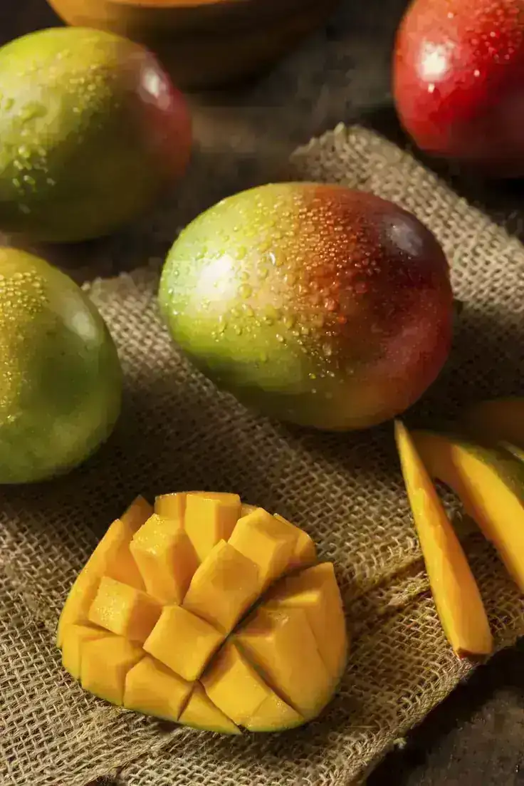 MANGO TOMMY