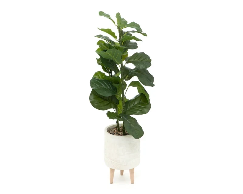Planta Pandurata 110cm Artificial con Maceta decorativa