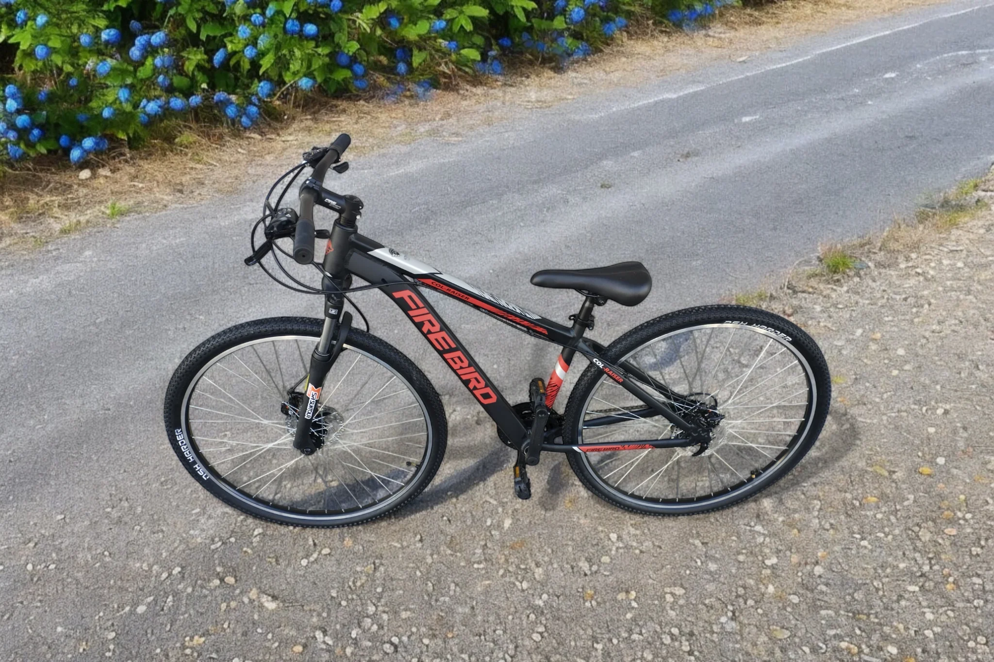 Bicicleta FIREBIRD Rod. 29 Negro/Rojo