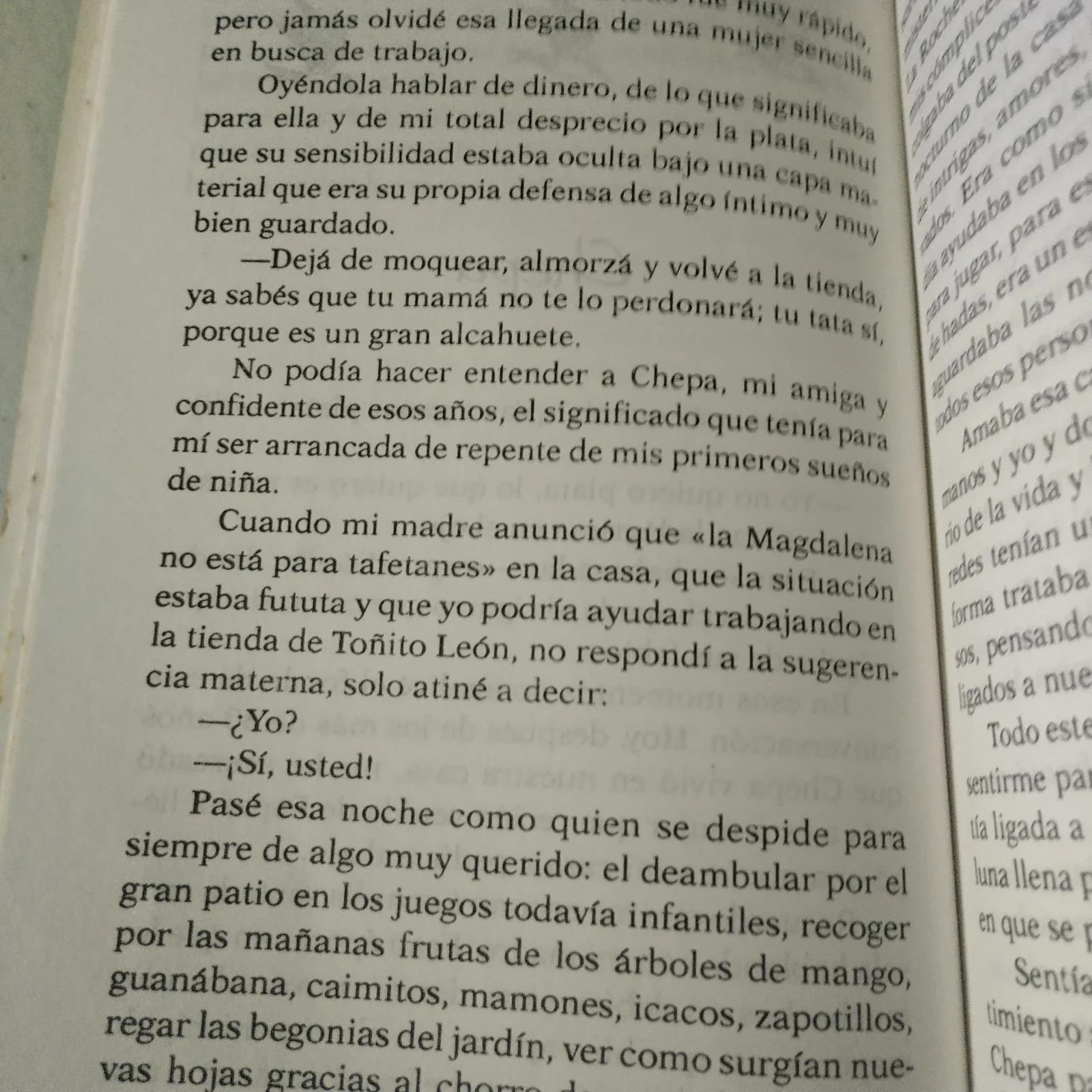 Ventana de arena, Elsie Canesa, usado 3