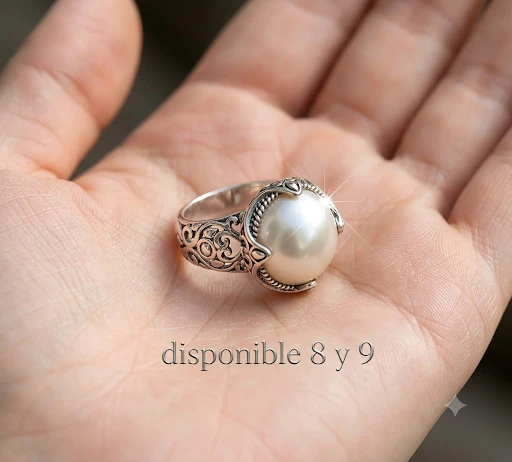 Anillo 2