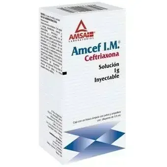 Amcef I.M 1g Ceftriaxona