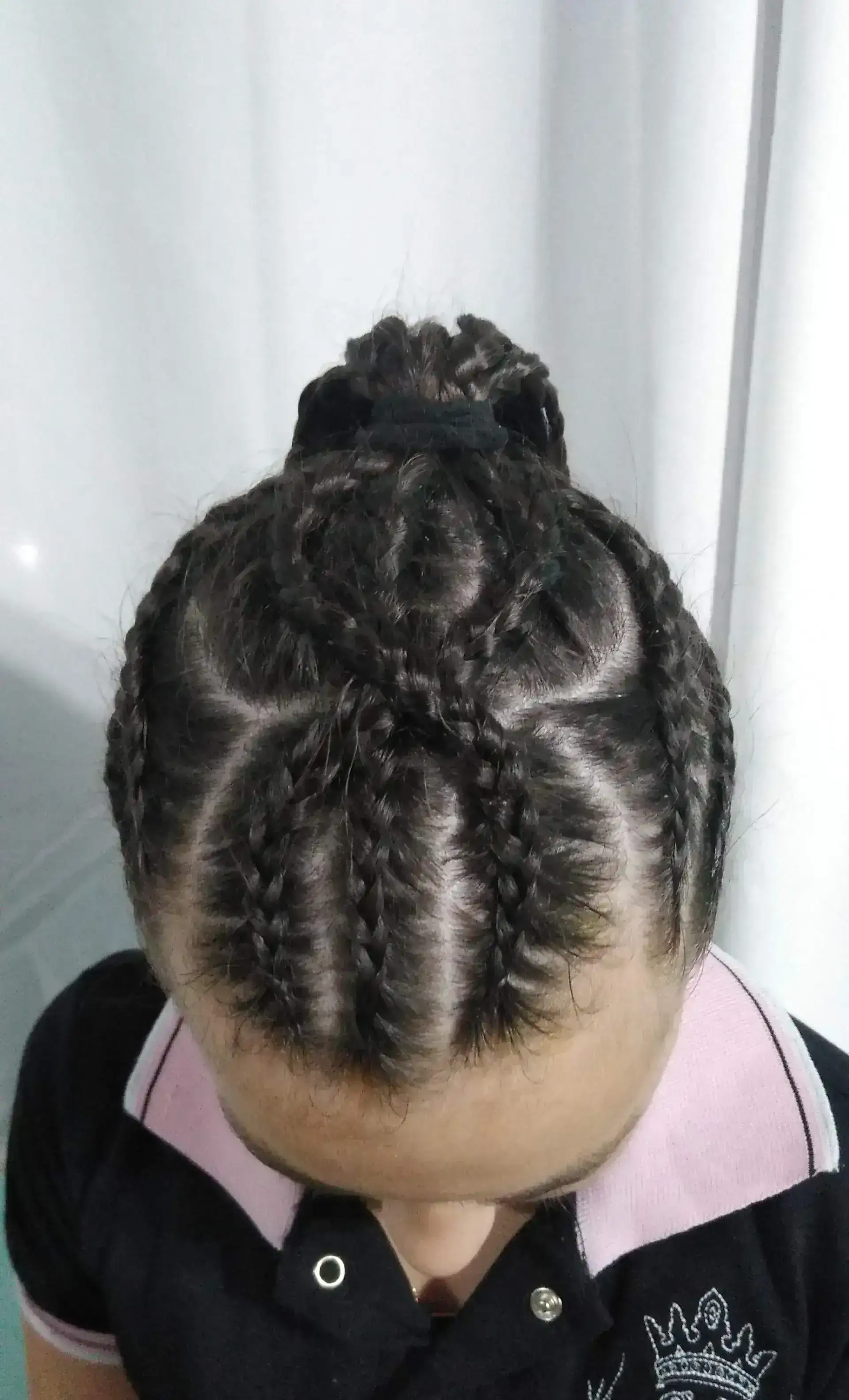 Trenzas con coleta 2