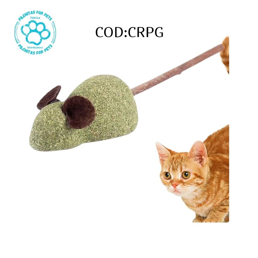 CATNIP FORMA RATA  X2
