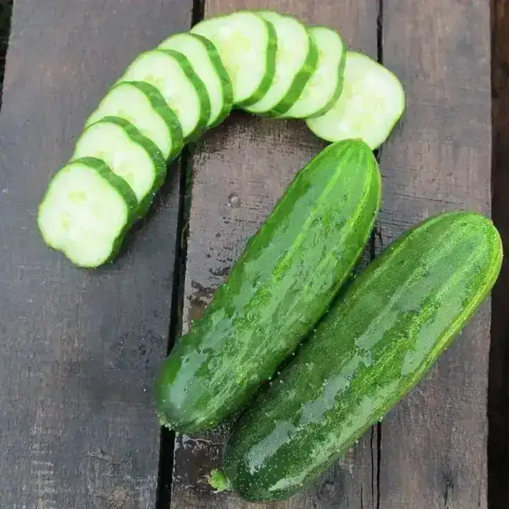 PEPINO GRANDE