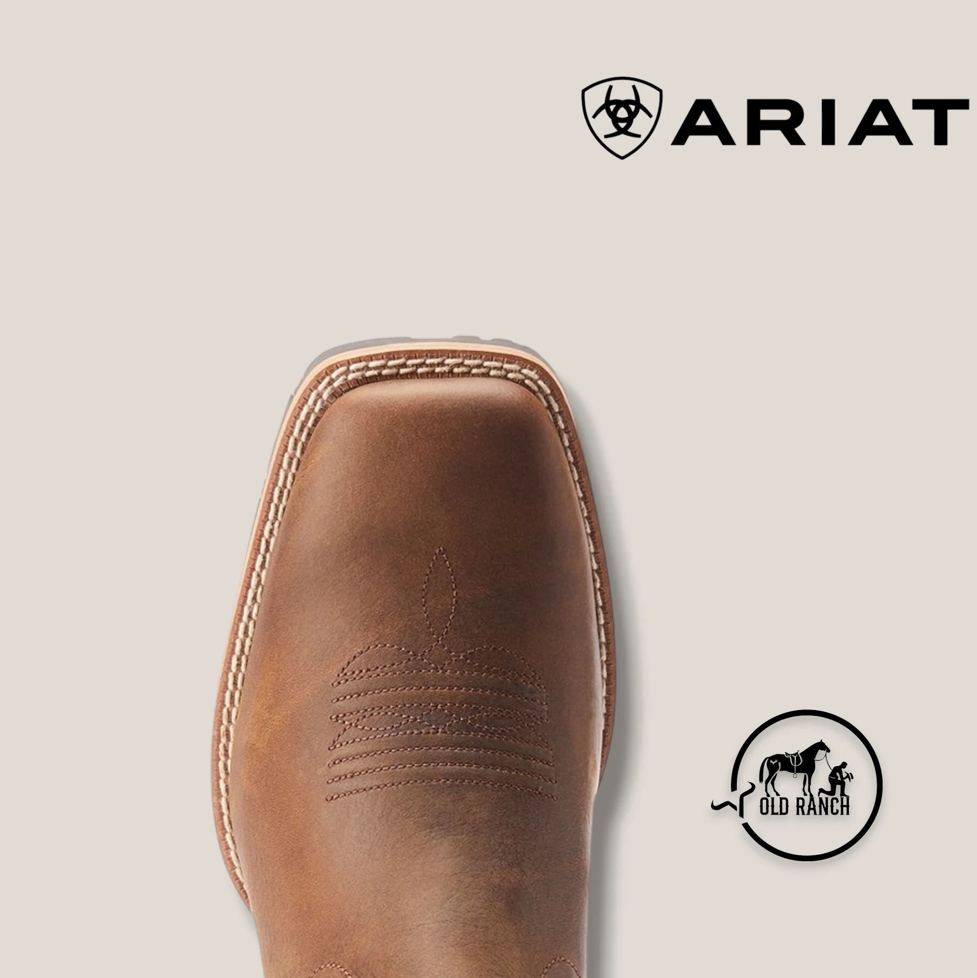 ARIAT 3