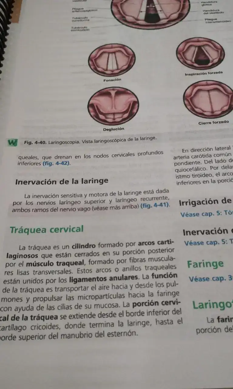 Pro Anatomia Clinica 2ª 3