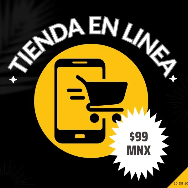 Plan Estandar 10
