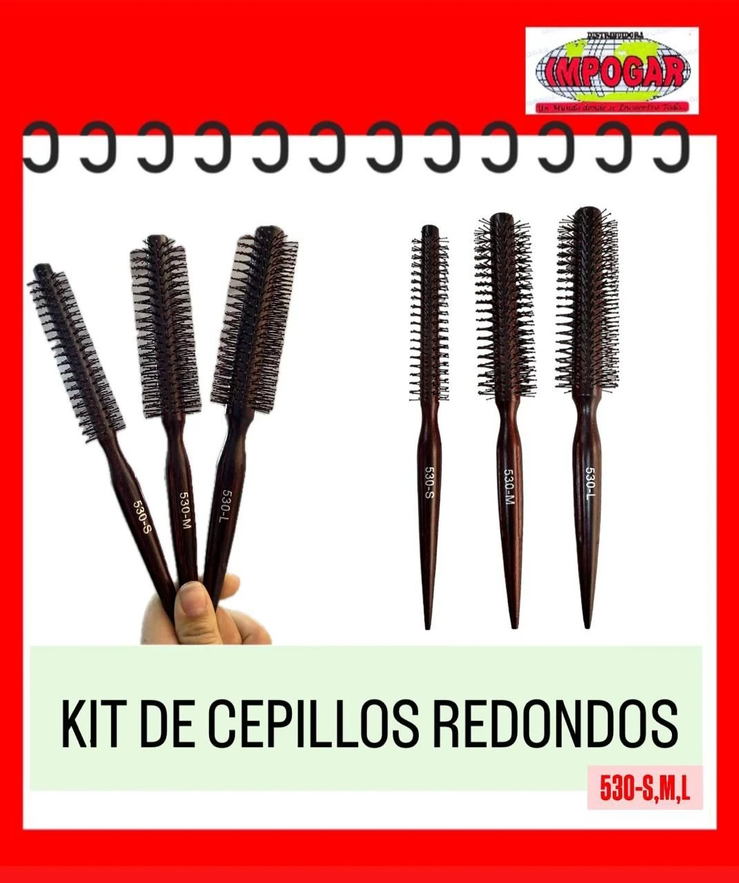 impohogar cepillo cerda redondo para secador