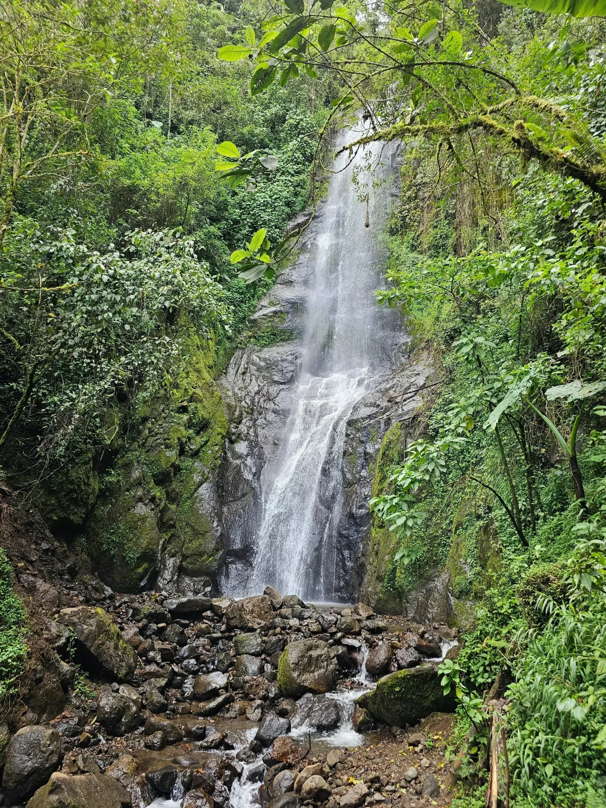 JARDÍN Y AVENTURA EN PASA DIA 9