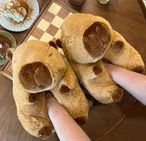 Pantuflas capibara