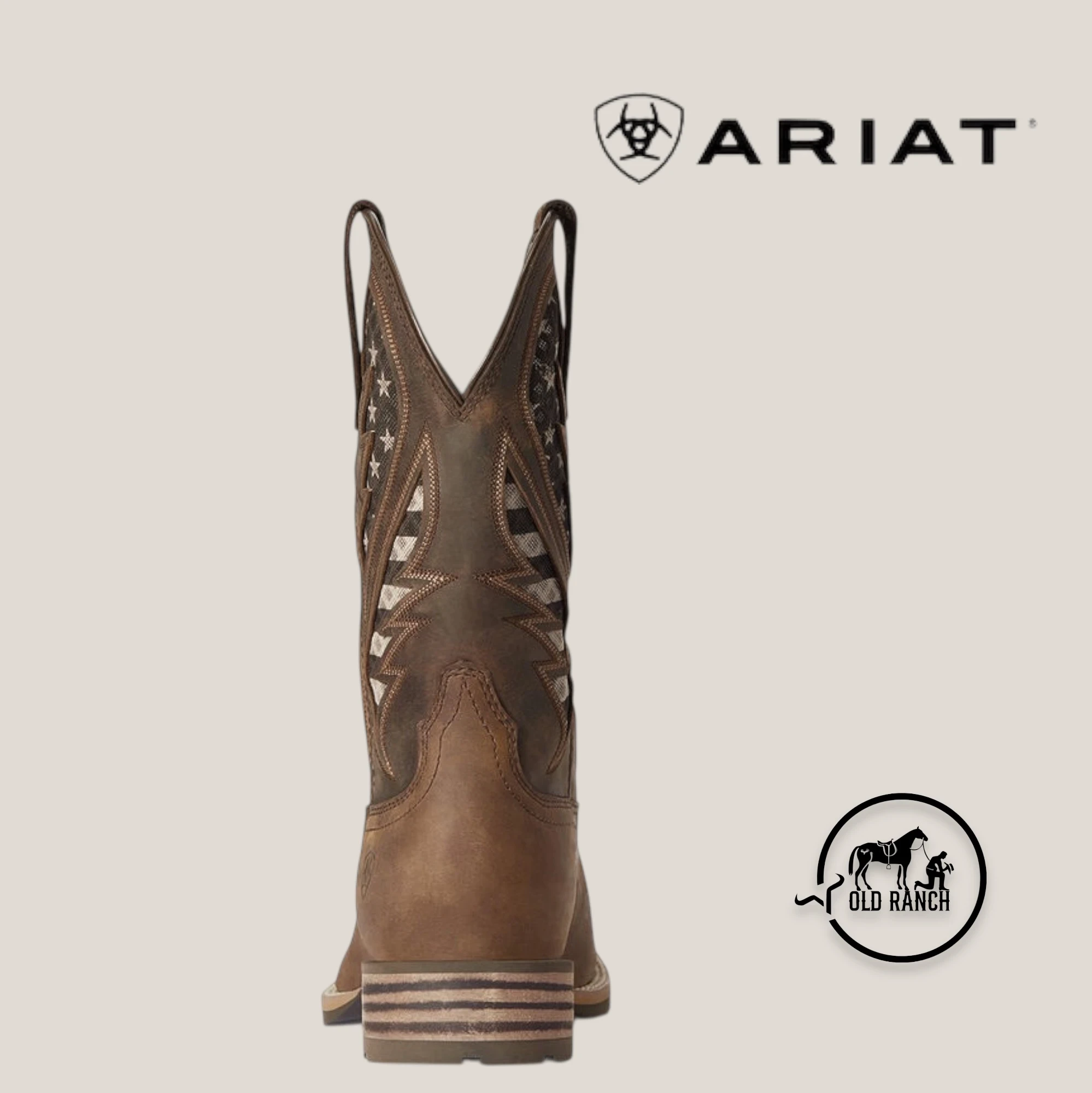 ARIAT 6