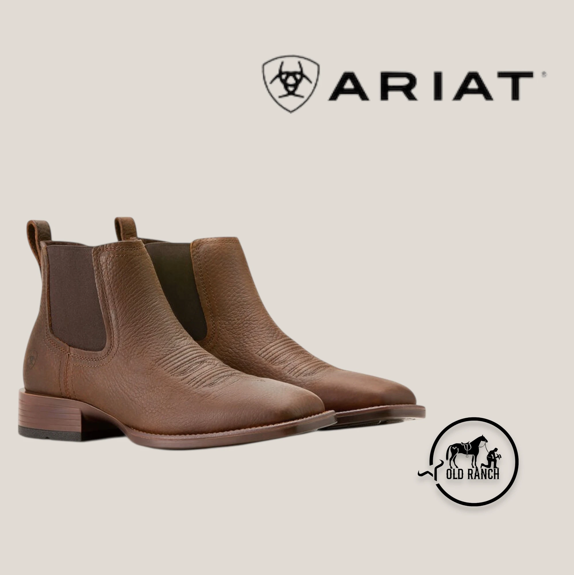 ARIAT 2