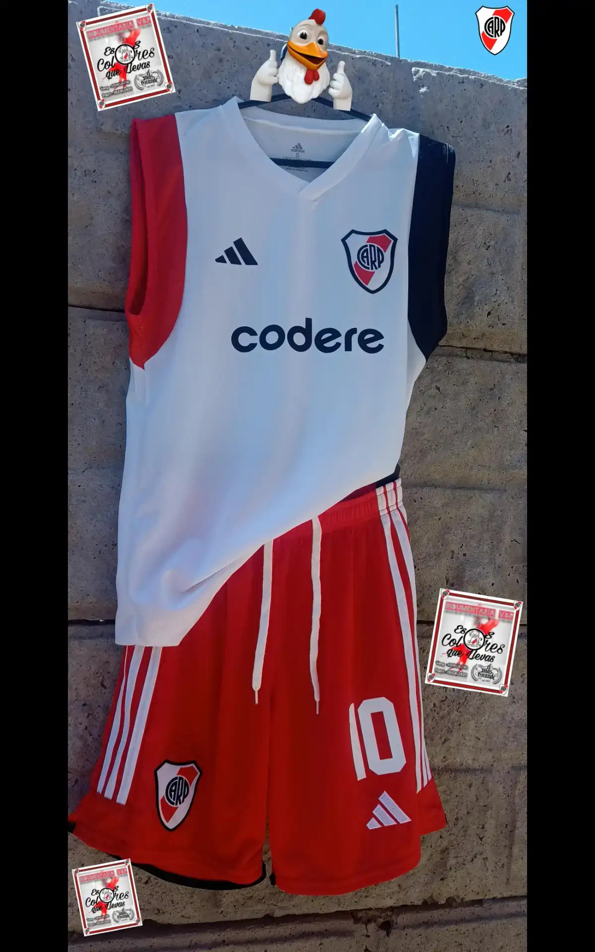 Conjunto Entrenamiento 2024
