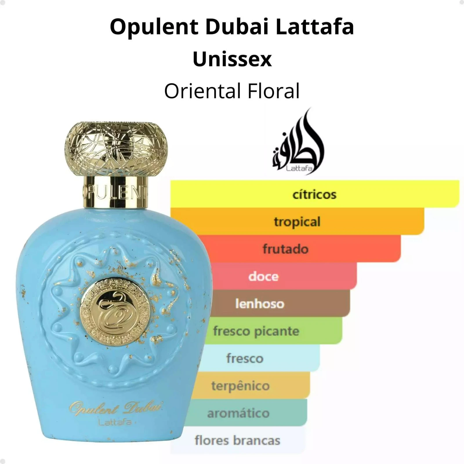 Opulent Dubai 5