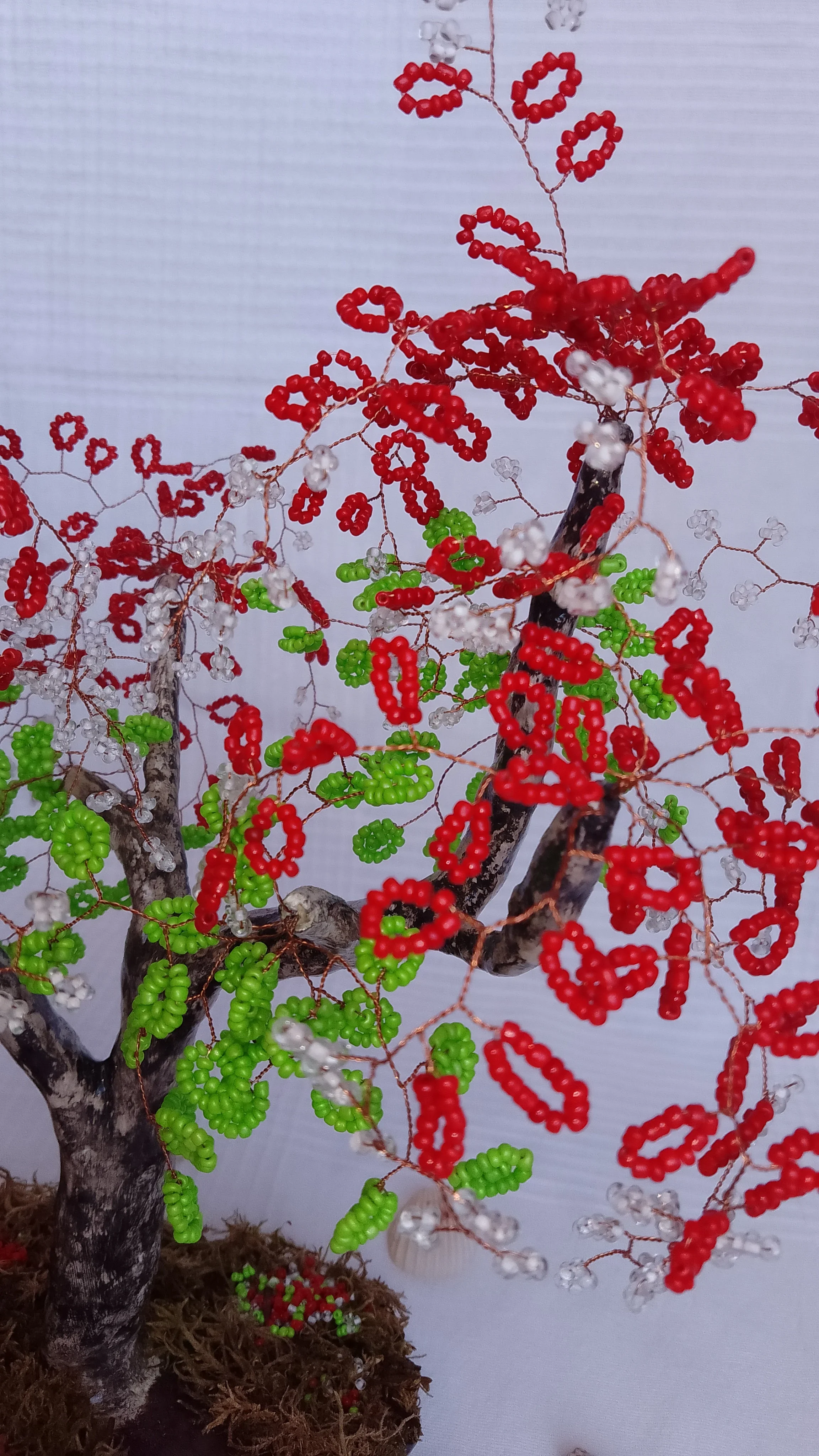 Bonsai Primavera roja 5