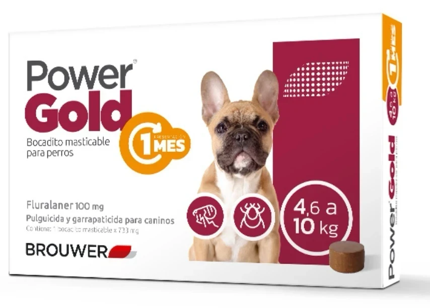 Power Gold 4 a 10kg