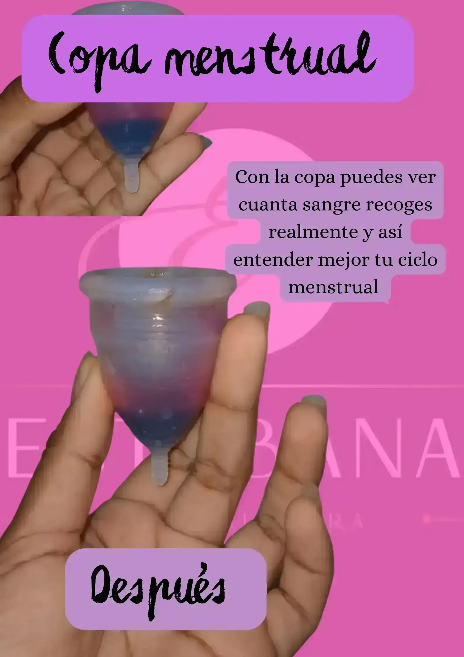 Copa menstruales  3