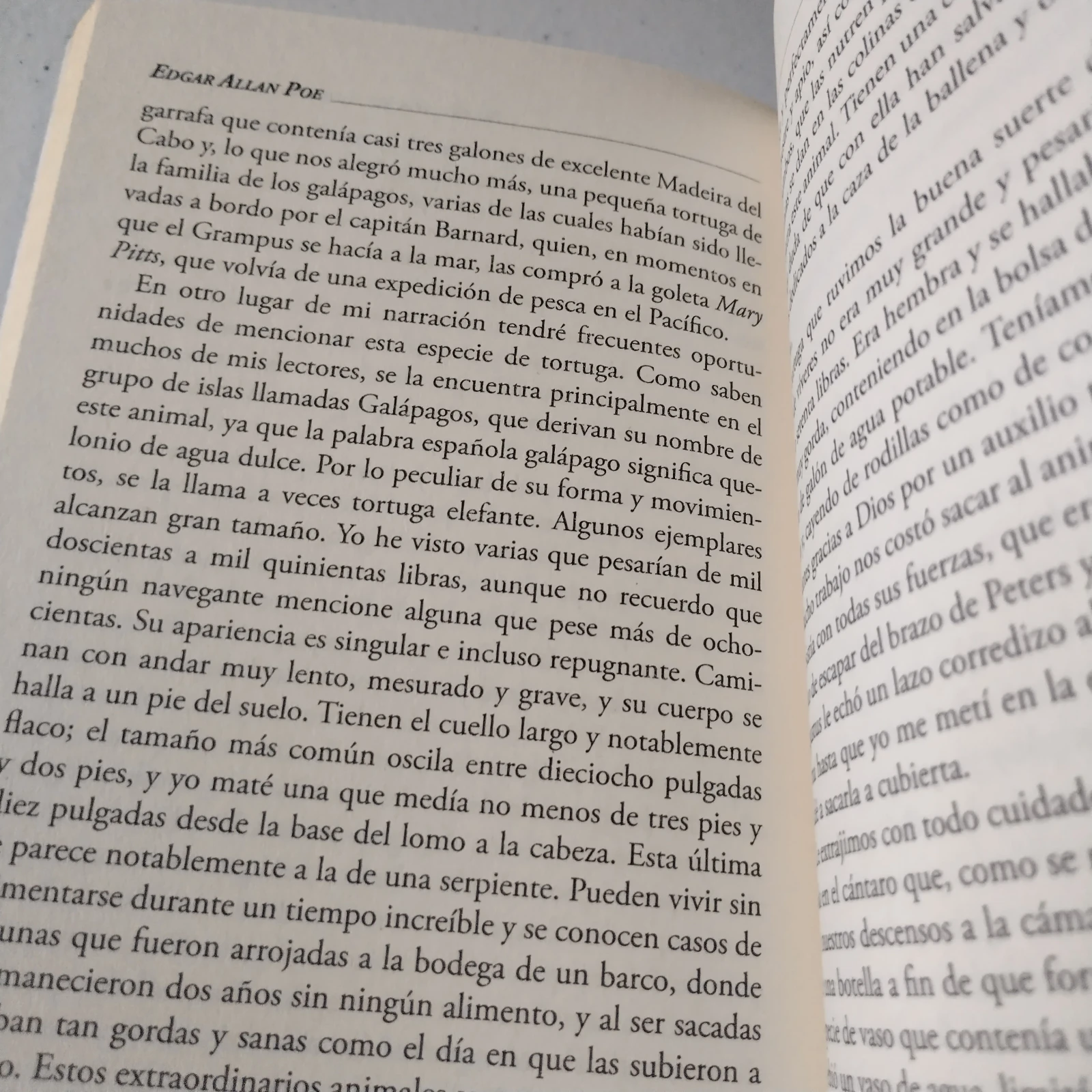 Narración de Arthur Gordon Pym, Edgar Allan Poe, nuevo 3