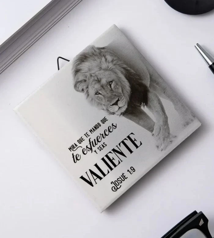 Plaqué de cerámica Valiente 2