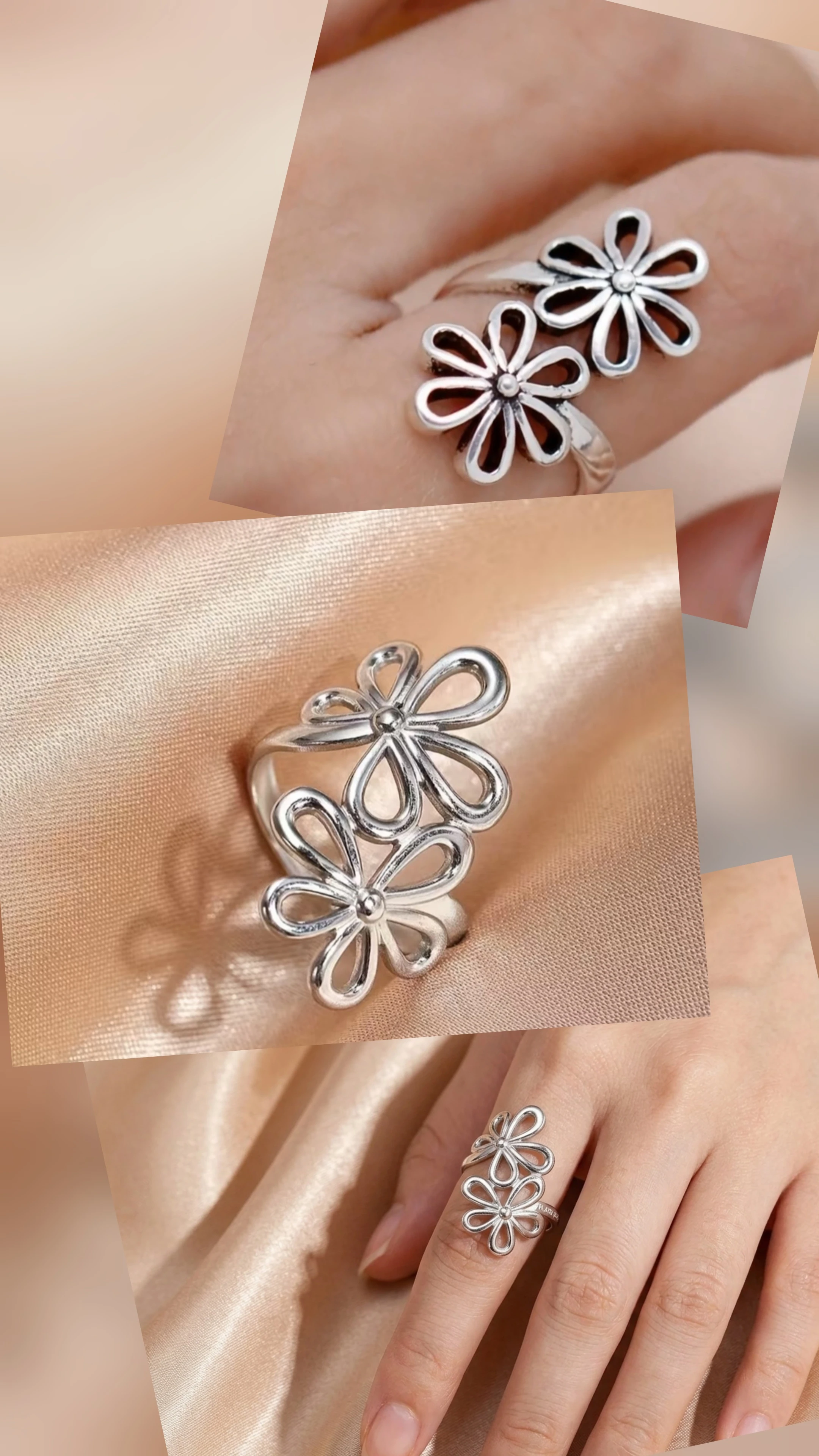 Anillo 2