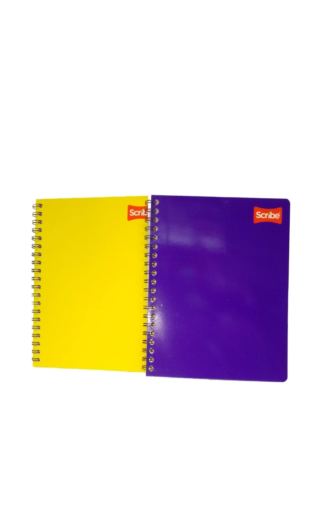 Cuaderno profesional  clasico c5