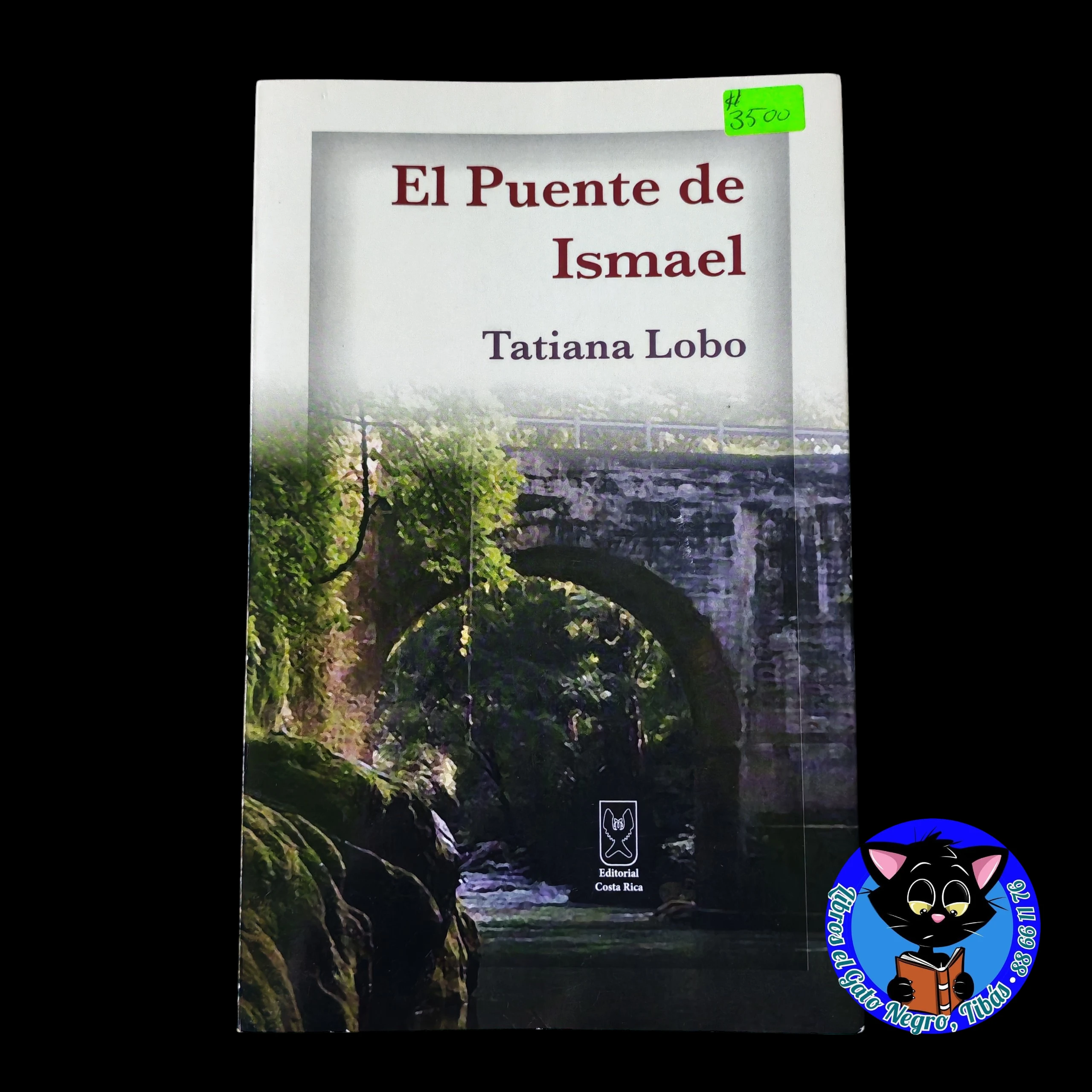 El puente de Ismael , Tatiana Lobo usado 