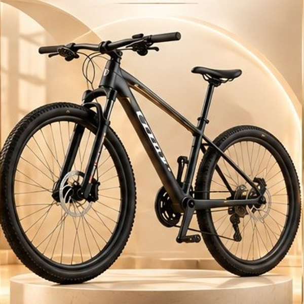 BICICLETAS