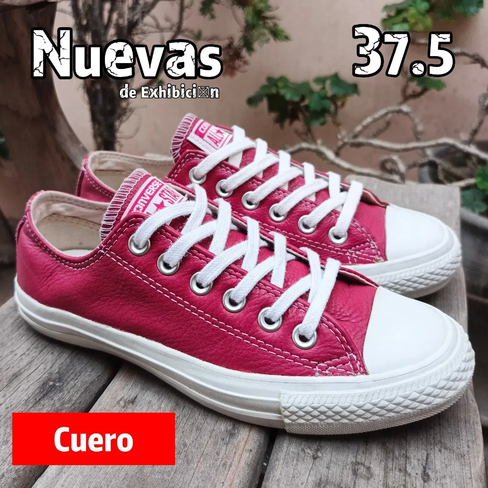 Converse All Star 
