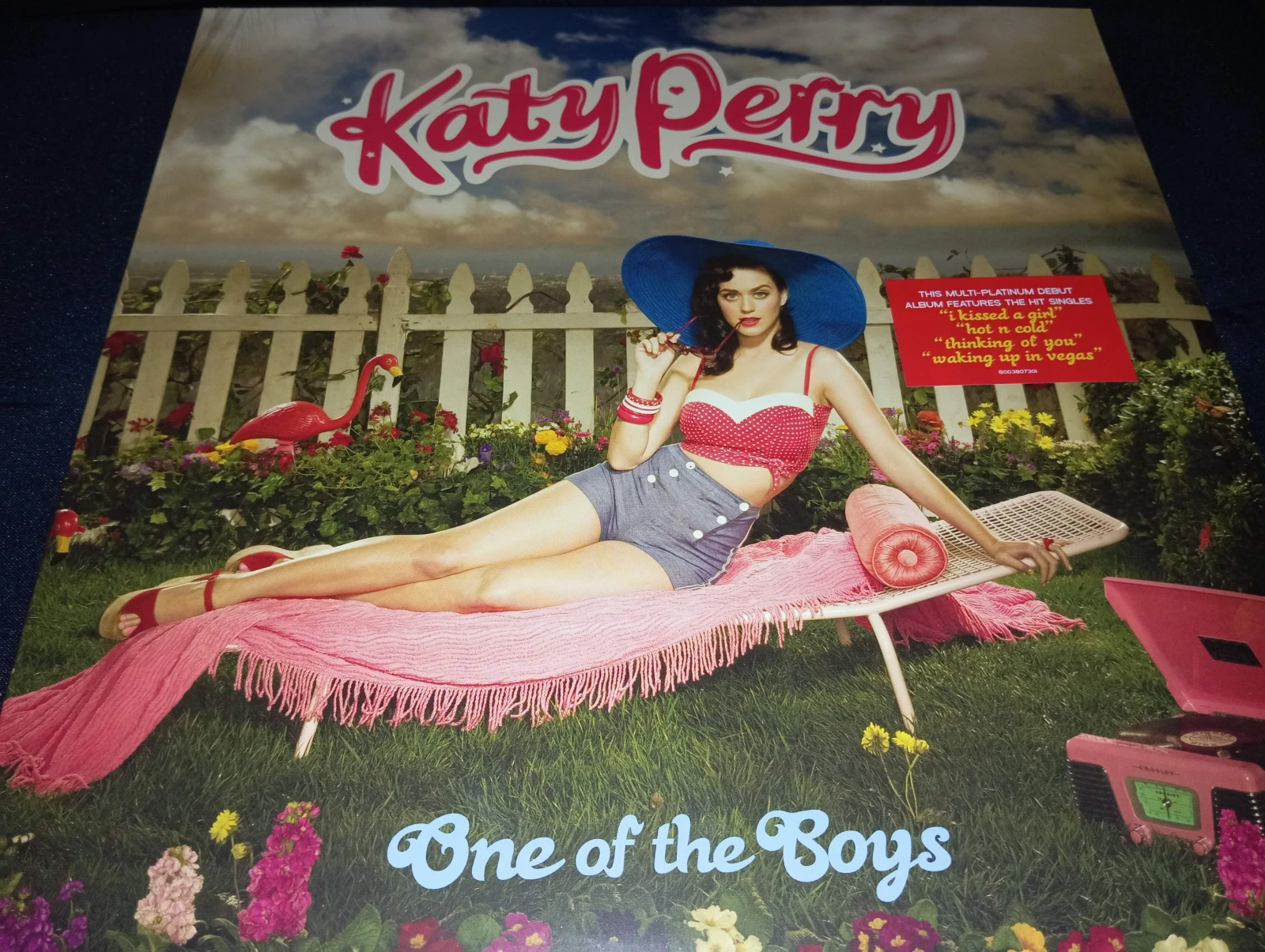Katy Perry - One The Boys (VINILO)(CZECH REPUBLIC)