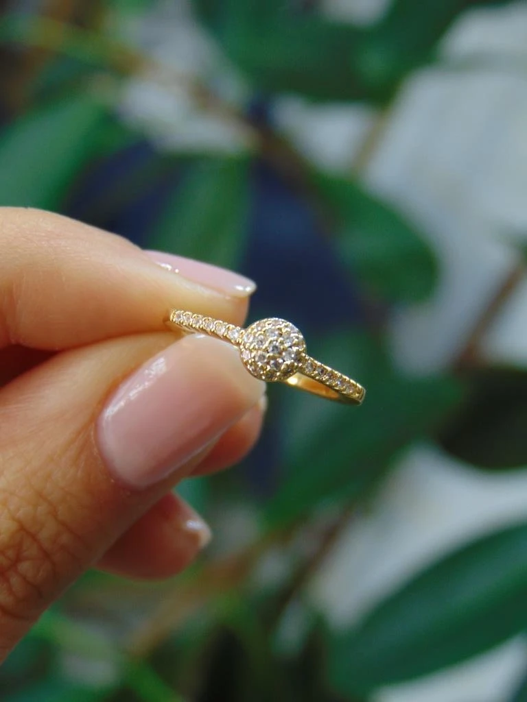 ANILLO ACERO DOR MINI CIRCULO MCROCIRCONES 2