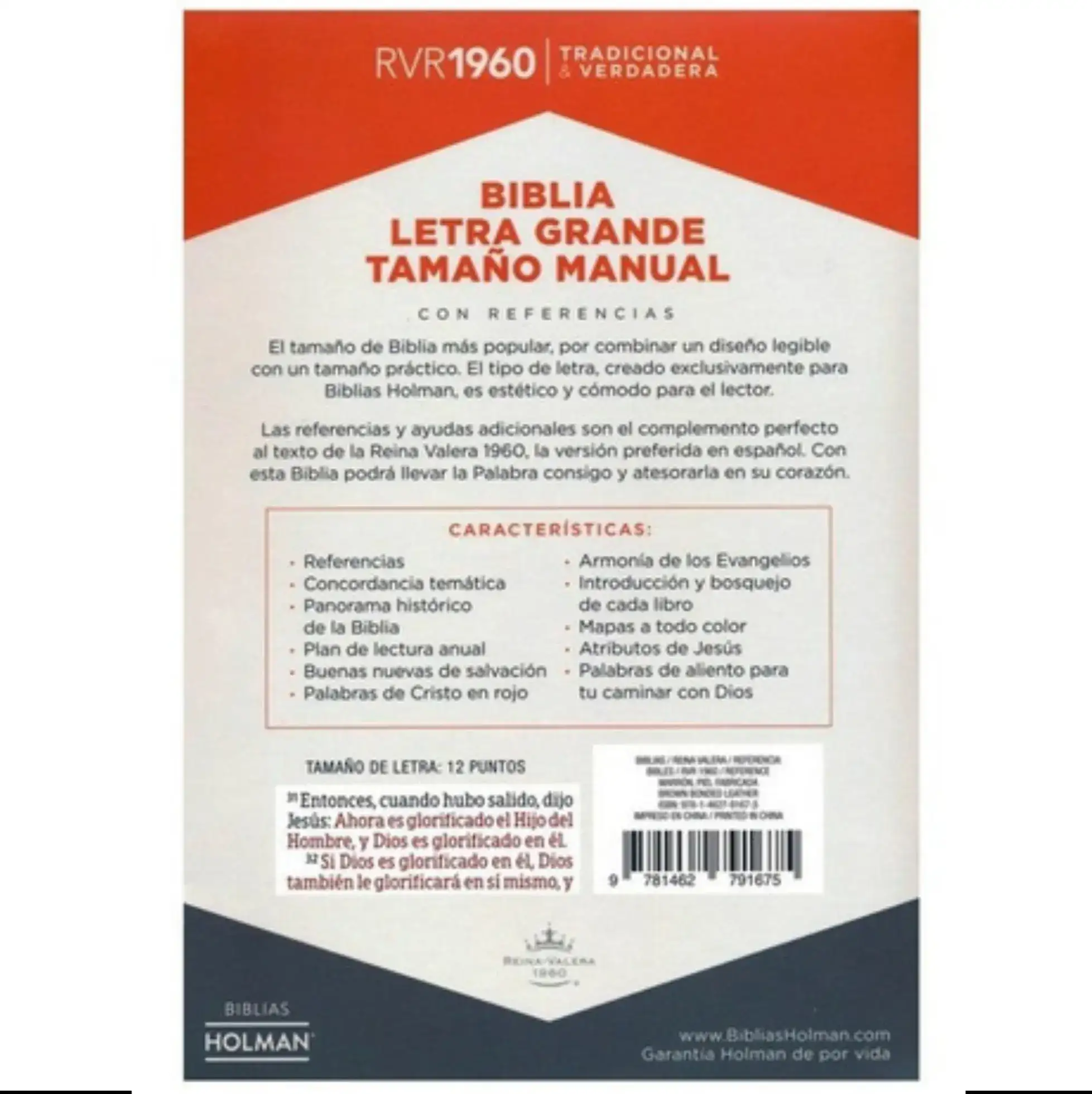 Biblia Letra grande RVR60 con cierre 3
