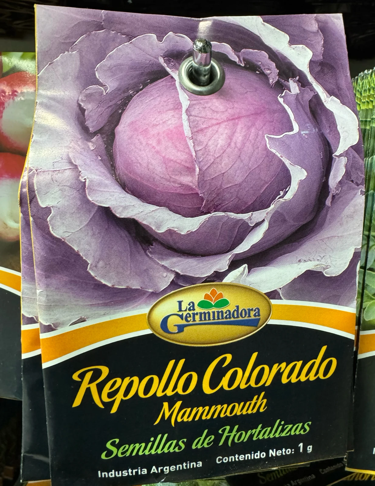 Repollo Colorado 