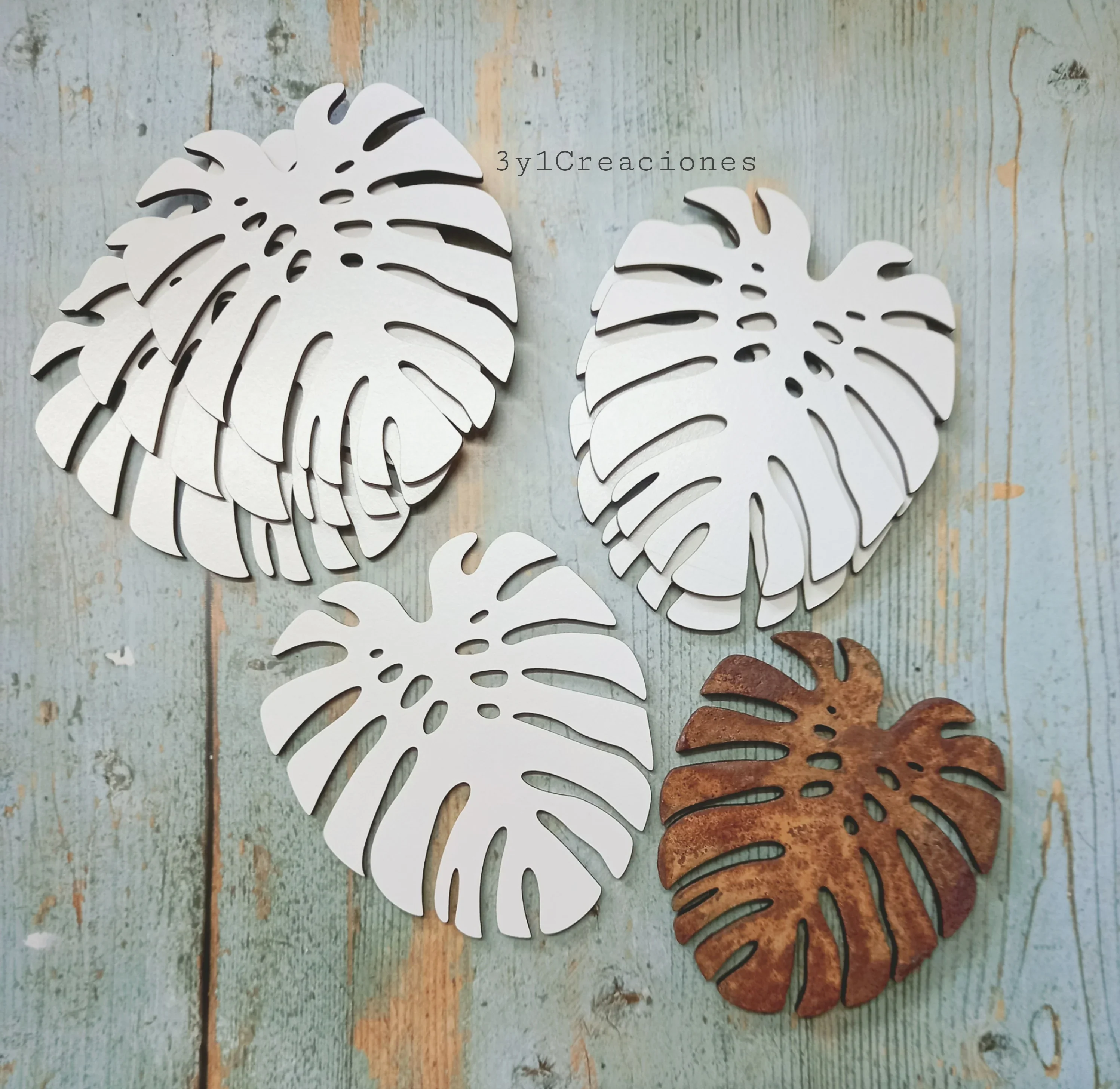 POSAVASO MONSTERA
