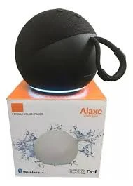 Parlante con diseño Alexa 2