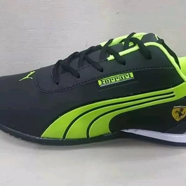 Puma  2