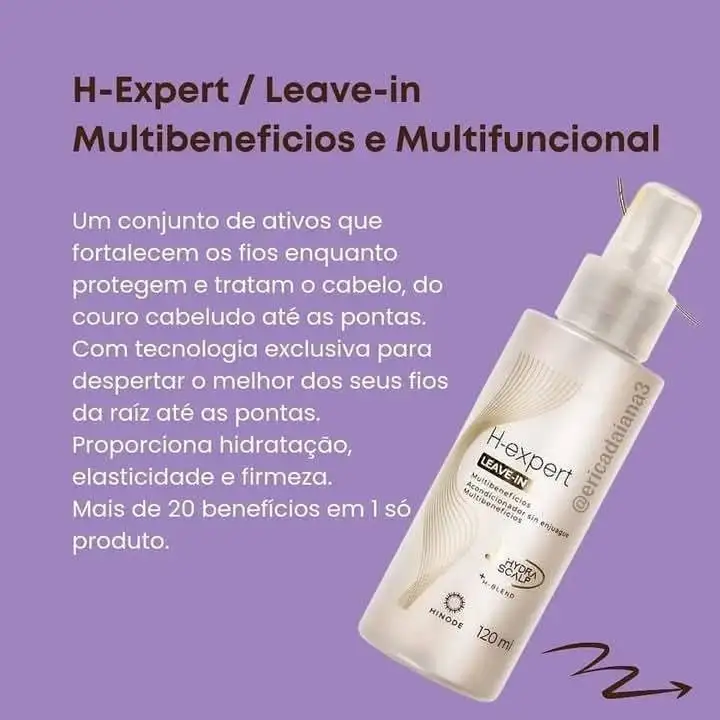 H-Expert 3