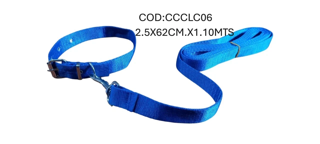 CONJUNTO T6 COLLAR+CORREA LISO 