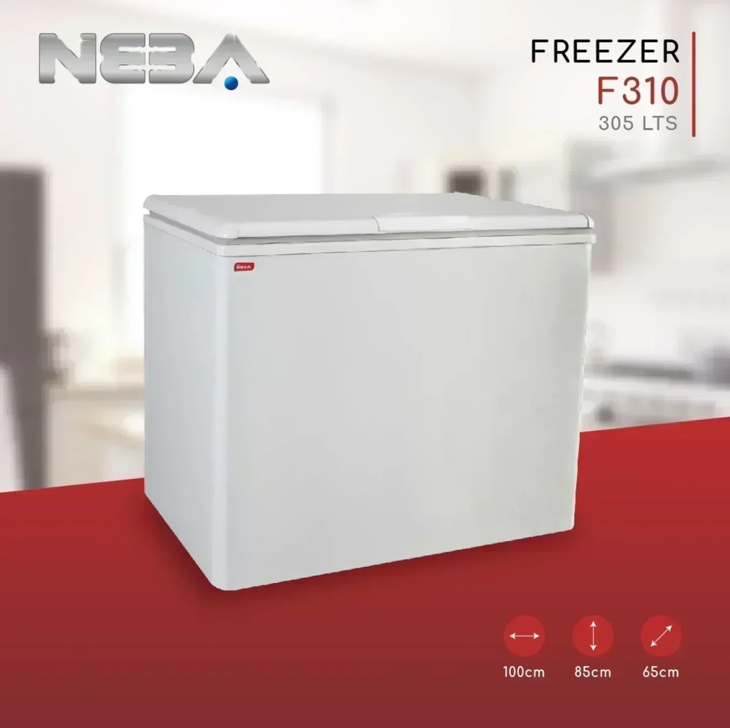 FREEZER NEBA F310